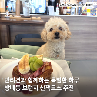 방배동 애견동반 브런치 후 서리풀공원 산책코스 이대로만 가세요!