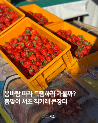 봄맞이 서초 직거래 큰장터 개장