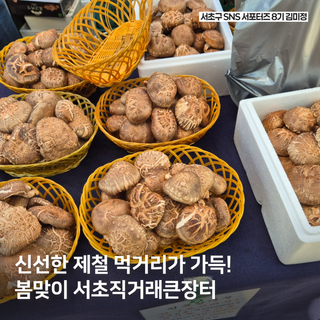 4월 서초 직거래 큰장터 꼭 가보세요!