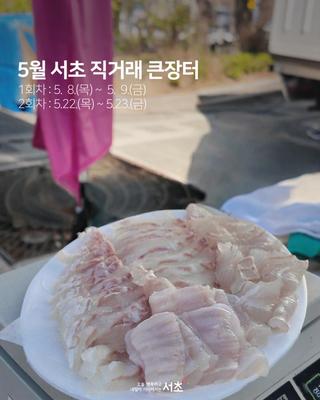 "광어, 도미, 감성돔까지 살아있네~ 서초 직거래 큰장터"