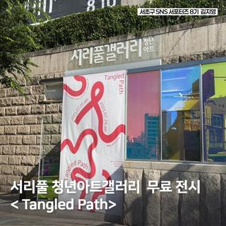 서리풀 청년 아트 갤러리 무료 전시 <Tangled Path> 보고 왔어요