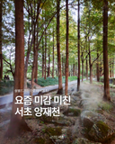 요즘 미감 미친 서초 양재천