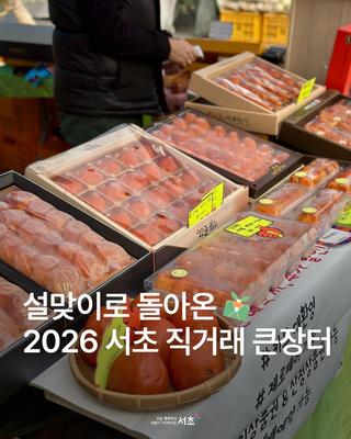 설맞이로 돌아온 2026 서초 직거래 큰장터