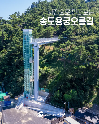 송도용궁오름길(수직이동 엘리베이터 및 연결 교량) 개통