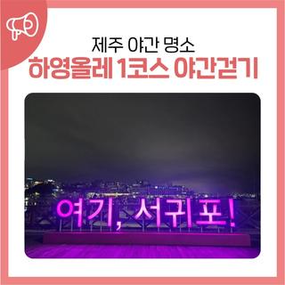 제주 야간 명소, 하영올레 1코스 야간걷기