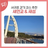 서귀포 새연교 새섬 걷기 코스 추천