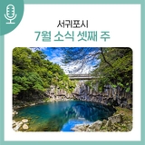 서귀포시 7월 소식 (셋째 주)