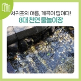 워터파크? NO! 서귀포 8개 천연 물놀이장 가이드!