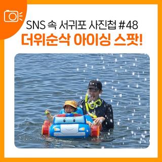 SNS 속 서귀포 사진첩 #48 더위순삭 서귀포시 아이싱 스팟!