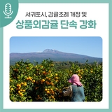 서귀포시, 감귤조례 개정 및 상품외감귤 단속 강화