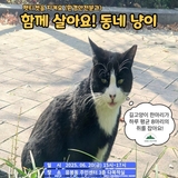 주민자치, 구체적으로 무엇을 하나요?