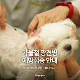 가을철 광견병 예방접종으로 반려동물을 지켜주세요!