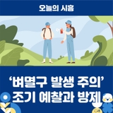 시흥시, ‘벼멸구 발생 주의’ 조기 예찰과 방제 당부