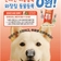 반려견 비문 등록 시범사업 시행 안내