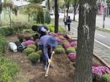 정왕본동, 가을꽃 식재로 쾌적한 도시환경 조성 박차