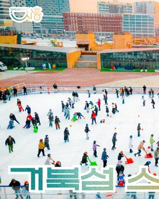 거북섬 스케이트장, 지금 밤낮으로 즐기는중!⛸