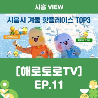 [해로토로 TV] EP.11 ⛄시흥시 겨울 핫플레이스 TOP3!