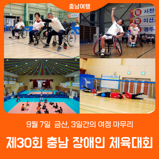 제30회 충남 장애인 체육대회