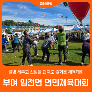 부여군 임천면 면민체육대회 이모저모