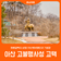 청렴결백의 상징! 아산 고불맹사성, 아산맹씨행단과 기념관