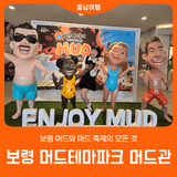 보령 머드와 축제의 모든 것 l 보령 머드테마파크 머드관