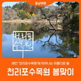 3월 봄꽃을 만날 수 있는 태안 '천리포수목원'