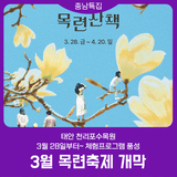 천리포수목원 목련 봄꽃 축제 정보 | 프로그램 종류 및 신청방법 | 3월 28일부터