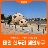 자연의 위대한 선물, '태안 신두리 해안사구'