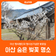 아산 벚꽃 명소 l  맹씨행단과 맹사성기념관 벚꽃길