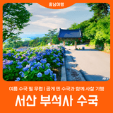 [서산 부석사 수국] 여름 수국 필 무렵