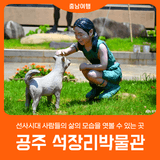 [공주 석장리박물관] 선사시대 삶의 모습 탐방