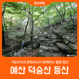 [예산 덕숭산] 천년 고찰과 함께하는 힐링 트래킹