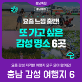 [충남 감성 여행지 6] 여름 감성 폭풍 충전 l GOGO : )