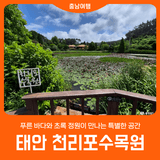 [태안 천리포수목원] 서해 바다 옆 아름다운 정원