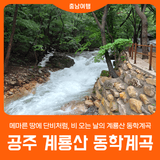 [공주 동학계곡] 메마른 땅에 단비처럼