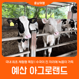 [예산 아그로랜드] 국내 최초 체험형 목장 l 아이와 함께 목장체험