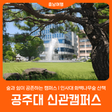 [공주대학교] 신관캠퍼스 인사대 화백나무숲 산책길