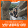 [보령 냉풍욕장] 무더운 여름을 시원하게!!