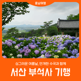 [서산 부석사 기행] 만개한 수국과 함께 걸으며~!