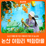 [논산 야화리 벽화마을] 논산 여름 꽃구경 l 해바라기꽃 과 능소화