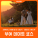 [부여 로맨틱 데이트 코스] 궁남지 · 성흥산성 사랑나무