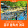 [공주 동학사 계곡] 공주 대표 여름 피서지 l 여름 물놀이