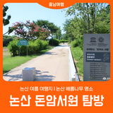 [논산 돈암서원] 논산 여름 여행지 l 논산 배롱나무 명소