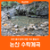 [논산 수락계곡] 맑은 물과 함께 여름 계곡 물놀이!