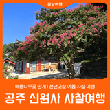 [공주 신원사] 배롱나무꽃 만개 l 여름 사찰 여행