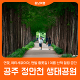 [공주 정안천생태공원] 여름 산책 명소 l 생태 힐링 공간