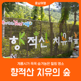 [향적산 치유의 숲] 계룡시가 꼭꼭 숨겨놓은 힐링 명소