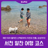 [서천 여행코스 ] 해안따라 펼쳐진 산책로 l 감성 여행 추천