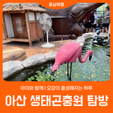 [아산 생태곤충원] 오감이 풍성해지는 하루