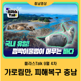 [영상]플라스Talk 9월 4차